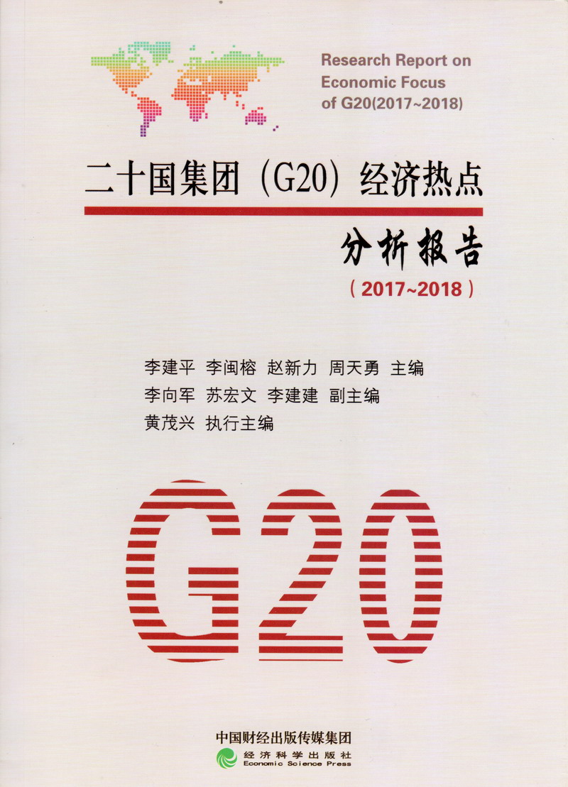 女性迅速插入视频网站免费二十国集团（G20）经济热点分析报告（2017-2018）